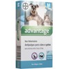 Advantage Cães/Gatos 4 a 10kg Un - Bayer