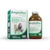Ampicilina Vet Oral Pó 50g - Vetnil Ampicilina Vet Oral Pó 50g - Vetnil