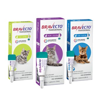 Antipulgas Bravecto Transdermal Gatos de 1,2 a 2,8kg