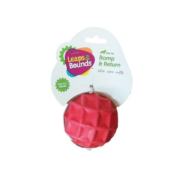 Bolinha Para Cães Bola de |Borracha Chocalho - Pet Trends Bolinha Para Cães Bola de |Borracha Chocalho - Pet Trends