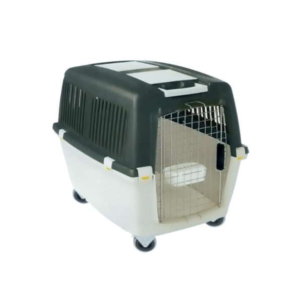 Caixa de Transporte Gulliver 7 - Chalesco Caixa de Transporte Gulliver 7 - Chalesco