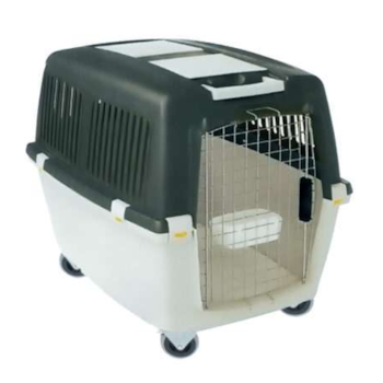 Caixa de Transporte Gulliver 7 - Chalesco Caixa de Transporte Gulliver 7 - Chalesco