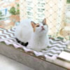 Cama de Janela para Gatos - Catbed Cama de Janela para Gatos - Catbed