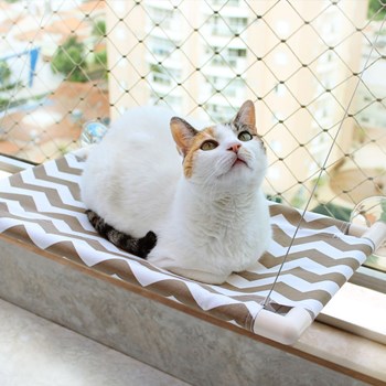 Cama de Janela para Gatos - Catbed