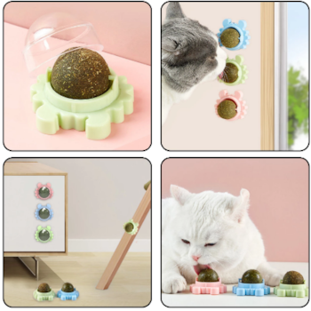 Cat Nip Para Gatos - It's Cat Cat Nip Para Gatos - It's Cat