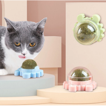 Cat Nip Para Gatos - It's Cat Cat Nip Para Gatos - It's Cat