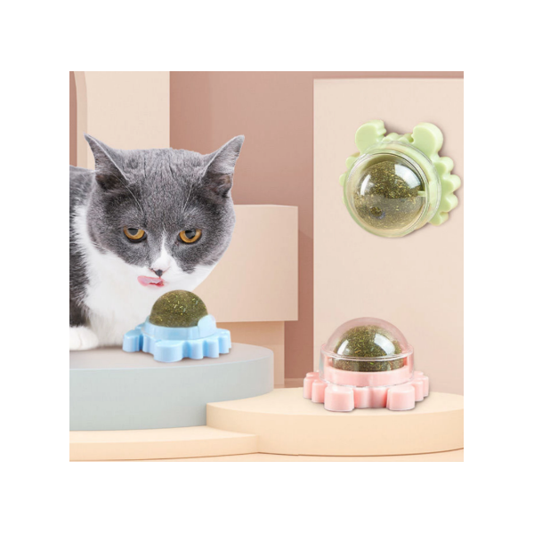 Cat Nip Para Gatos - It's Cat Cat Nip Para Gatos - It's Cat