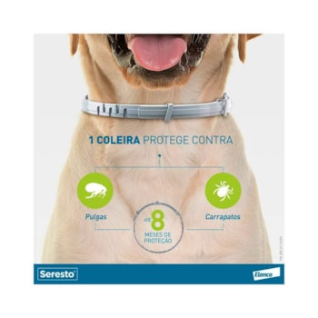 Coleira Antipulgas Seresto Cães acima de 8kg 70cm - Bayer Coleira Antipulgas Seresto Cães acima de 8kg 70cm - Bayer