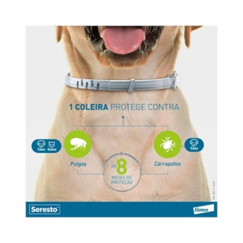 Coleira Antipulgas  Seresto Cães/Gatos  até 8kg 38cm - Bayer Coleira Antipulgas  Seresto Cães/Gatos  até 8kg 38cm - Bayer