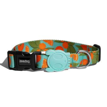 Coleira Florida G - ZeeDog Coleira Florida G - ZeeDog