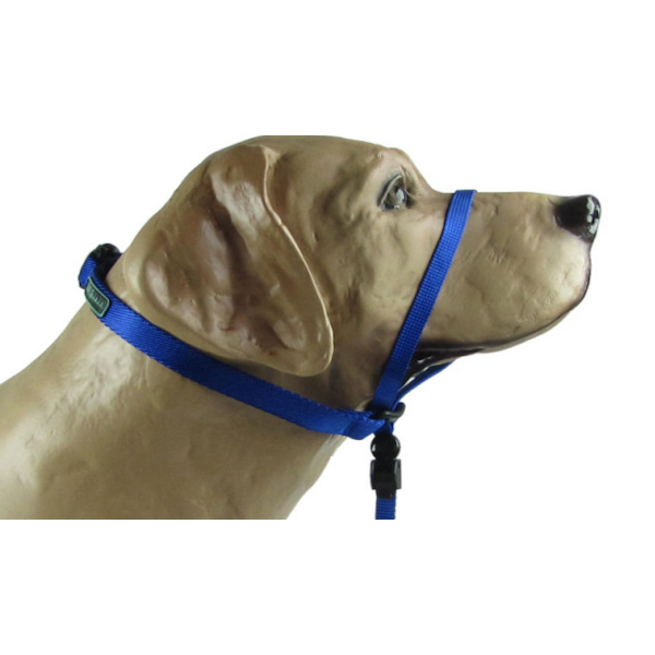 Coleira Para Cães Cabresto Azul - K-9 Spirit Coleira Para Cães Cabresto Azul - K-9 Spirit