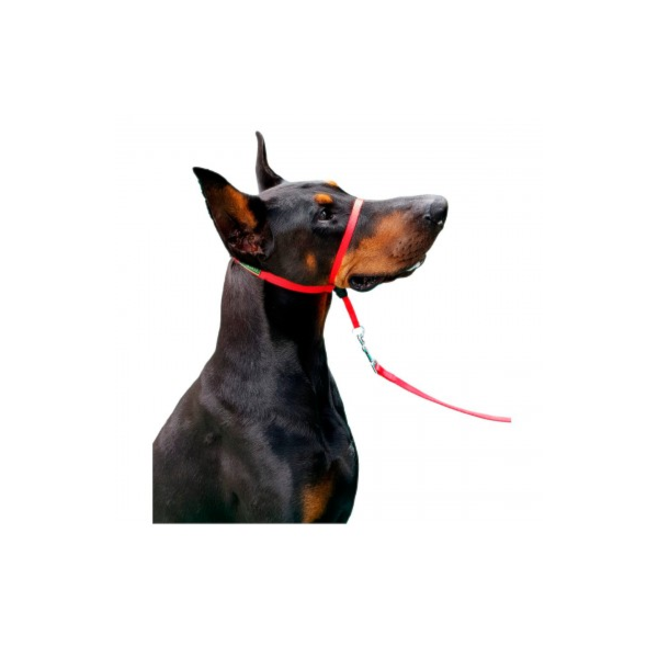 Coleira Para Cães Cabresto Vermelho - K-9 Spirit Coleira Para Cães Cabresto Vermelho - K-9 Spirit