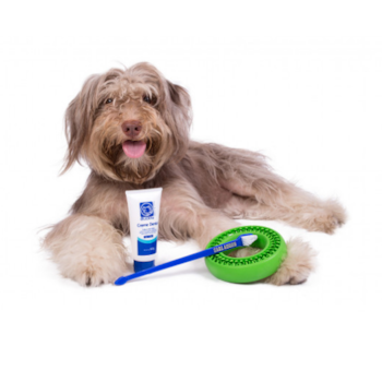 Dental Buddy Kit - Buddy Toys Dental Buddy Kit - Buddy Toys