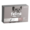 Feline Endo Spot até 2kg - Labyes Feline Endo Spot até 2kg - Labyes
