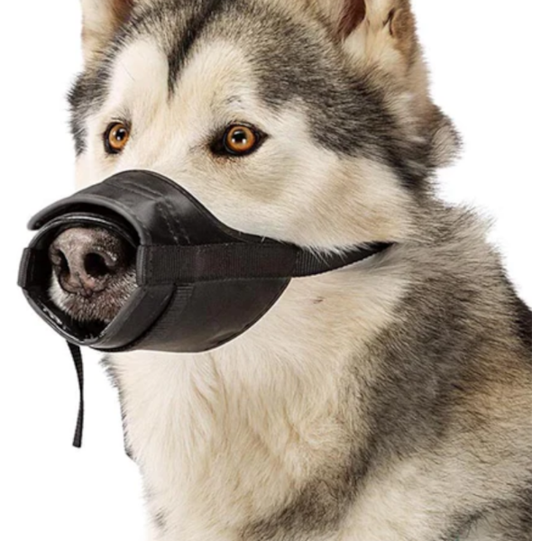 Focinheira Safe - Ferplast Focinheira Safe - Ferplast