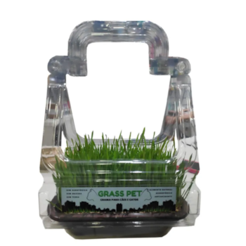 GRAMA PARA CÃES E GATOS GRAMA PARA CÃES E GATOS