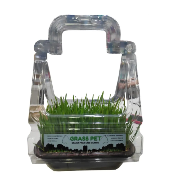 GRAMA PARA CÃES E GATOS GRAMA PARA CÃES E GATOS