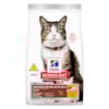 Hill's Gatos Adultos Controle de Bolas de Pelo - Hill's Hill's Gatos Adultos Controle de Bolas de Pelo - Hill's