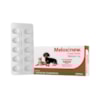 Meloxinew 1mg 10 comprimidos - Vetnil Meloxinew 1mg 10 comprimidos - Vetnil