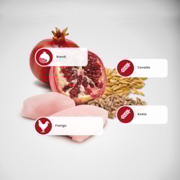 N&D Ancestral para Cães Adultos de Raças Médias Sabor Frango, Romã, Aveia e Cevada