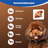 N&D Brown para Cães Adultos de Raças Mini e Pequenas Sabor Cordeiro, Spirulina e Cenoura 2Kg
