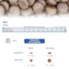 N&D Quinoa Cuidado Digestivo para Cães Adultos de Raças Mini e Pequenas Sabor Cordeiro 800g