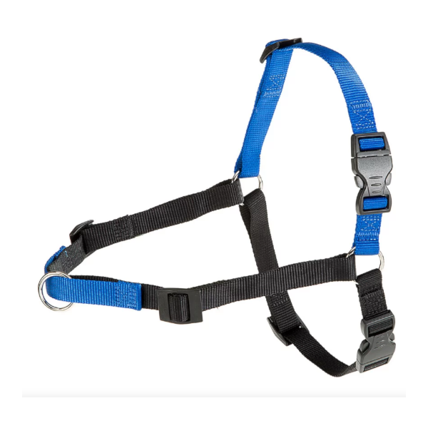 Peitoral Coach  Azul - Ferplast Peitoral Coach  Azul - Ferplast