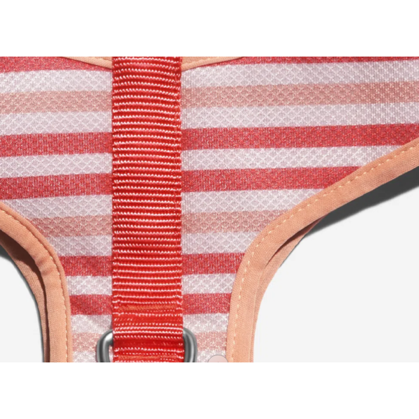 Peitoral Mesh Peppermint - ZeeDog Peitoral Mesh Peppermint - ZeeDog