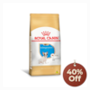 Promo Royal Canin Bulldog Francês Puppy 1kg
