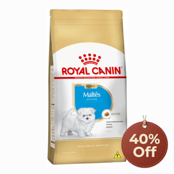 Promo Royal Canin Maltês Puppy 2,5kg