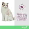 Promo Vectra Gatos 10kg - Ceva