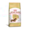 Ração Royal Canin Dachshund Adulto - Royal Canin Ração Royal Canin Dachshund Adulto - Royal Canin