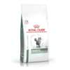 Ração Royal Canin Diabetic - Gatos Adultos Ração Royal Canin Diabetic - Gatos Adultos