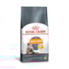 Ração Royal Canin Hair & Skin - Gatos Adultos Ração Royal Canin Hair & Skin - Gatos Adultos