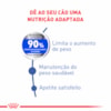 Ração Royal Canin Maxi Light para Cães Adultos ou Idosos de Porte Grande - Obesidade - 10,1 Kg