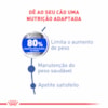 Ração Royal Canin Medium Light para Cães Adultos ou Idosos de Porte Médio - Obesidade - 10,1 Kg
