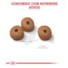Ração Royal Canin Medium Light para Cães Adultos ou Idosos de Porte Médio - Obesidade - 10,1 Kg