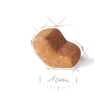 Ração Royal Canin Shih Tzu Adulto Ração Royal Canin Shih Tzu Adulto