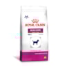 Ração Royal Canin Skin Care Small Cães Adultos - Royal Canin Ração Royal Canin Skin Care Small Cães Adultos - Royal Canin