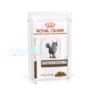 Ração Royal Canin Veterinary Diet Sachê Gastro Intestinal Gatos Adultos 85g - Royal Canin Ração Royal Canin Veterinary Diet Sachê Gastro Intestinal Gatos Adultos 85g - Royal Canin