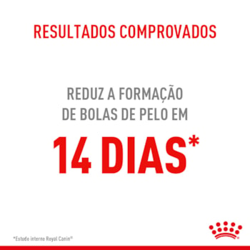 Ração Seca Royal Canin Bolas de Pelo para Gatos Adultos - 3 Kg Ração Seca Royal Canin Bolas de Pelo para Gatos Adultos - 3 Kg