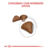 Ração Seca Royal Canin Bolas de Pelo para Gatos Adultos - 3 Kg