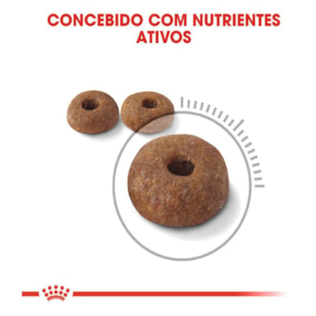 Ração Seca Royal Canin Light para Gatos Adultos Ração Seca Royal Canin Light para Gatos Adultos