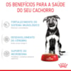 Ração Seca Royal Canin Maxi Puppy para Cães Filhotes de Porte Grande - 4 Kg