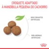 Ração Seca Royal Canin Maxi Puppy para Cães Filhotes de Porte Grande - 4 Kg