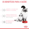 Ração Seca Royal Canin Mother & Babycat Gatas gestantes/lactantes e Gatos de 1 a 4 Meses - 1,5 Kg