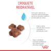 Ração Seca Royal Canin Mother & Babycat Gatas gestantes/lactantes e Gatos de 1 a 4 Meses - 400 g