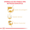 Ração Seca Royal Canin para Cães Adultos da Raça Poodle - 1 Kg