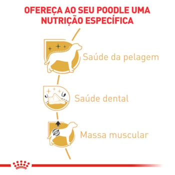 Ração Seca Royal Canin para Cães Adultos da Raça Poodle - 1 Kg