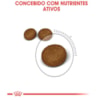 Ração Seca Royal Canin Pele e Pelagem para Gatos Adultos - 3 Kg